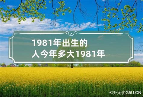 1981出生|1981年今年多大 1981年出生现在几岁 八一年到2024年多大了